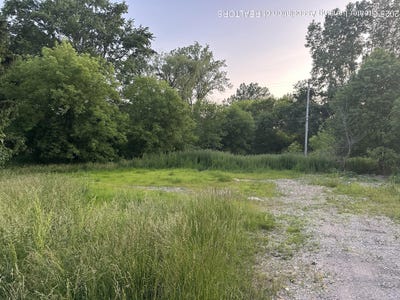 /international/us/1463-onondaga-road-holt-mi-110100339180/