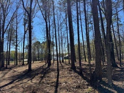 /international/us/county-rd-131-centre-al-110106801678/