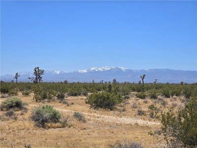 /international/us/10-beaver-avenue-acres-adelanto-ca-110107720331/