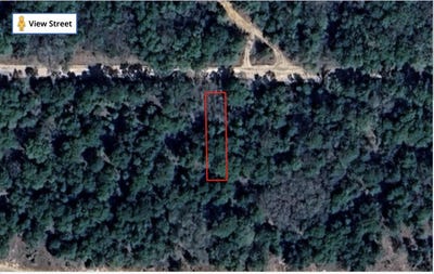 /international/us/tbd-5th-street-interlachen-fl-110100801930/