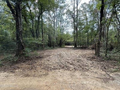 /international/us/sw-dalton-lane-smithdale-ms-110102321816/