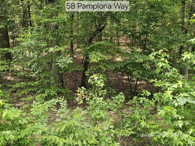 /international/us/58-pamplona-way-hot-springs-village-ar-110100890974/