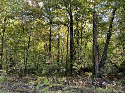 /international/us/porcupine-lake-road-lot-2-long-lake-wi-110110307340/