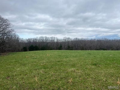 /international/us/-21-23-ac-tract-7-horstman-road-new-haven-mo-110098618504/