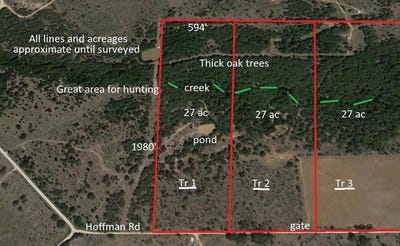 /international/us/tr-1-hoffman-road-loving-tx-110105281846/