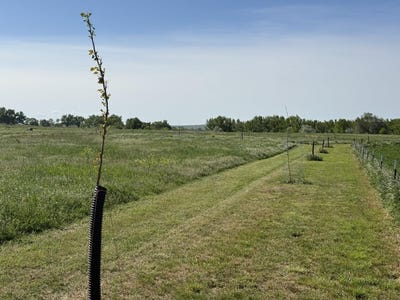 /international/us/tbd-lot-2-wild-west-place-belle-fourche-sd-110099099818/