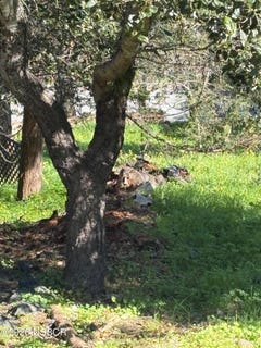/international/us/spencer-street-cambria-ca-110105722064/