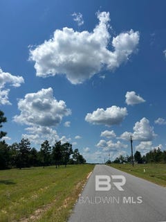 /international/us/old-highway-31-lot-14-brewton-al-110102052832/