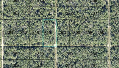 /international/us/319-tippin-street-hastings-fl-110120152918/