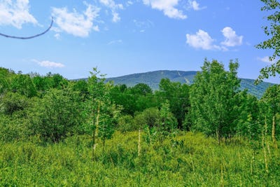 /international/us/town-farm-road-lot-26-ludlow-vt-110093541582/
