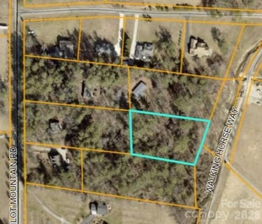 /international/us/1-pilot-mountain-road-hendersonville-nc-110120606870/