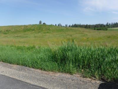/international/us/lot-12-mule-deer-ln-deer-park-wa-110095721519/?lang=en