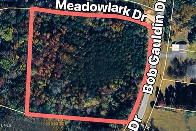 /international/us/bob-gauldin-drive-pelham-nc-110120129202/