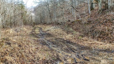 /international/us/9999-honeycutt-branch-turkey-creek-barbourville-ky-110101829416/