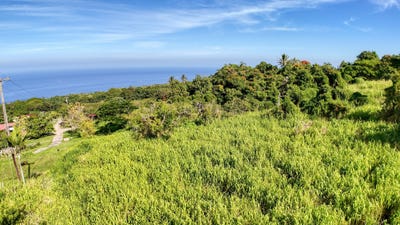 /international/us/81-5534-alaula-road-kealakekua-hi-110110176532/