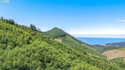/international/us/hwy-101-nehalem-or-110101894033/
