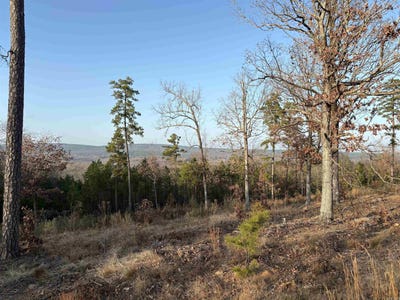 /international/us/21216-valley-view-cove-roland-ar-110104871563/