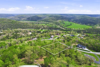 /international/us/meadowview-lane-lot-2-saddlebrooke-mo-110107994567/
