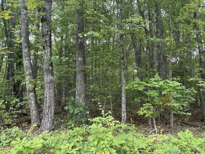 /international/us/l23-1-buzzell-hill-road-hope-me-110110271064/