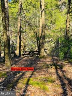 /international/us/lot-43-paradise-point-james-creek-pa-110091170787/?lang=zh-tw