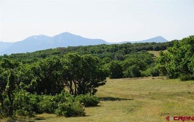 /international/us/18965-johnson-road-paonia-co-110101428371/?lang=zh-tw