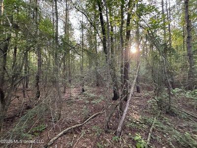 /international/us/n-lot-2-river-road-summit-ms-110108060067/