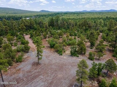/international/us/jacks-lane-pinetop-az-110108169056/