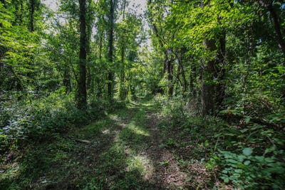 /international/us/v-l-millard-road-three-rivers-mi-110110167970/