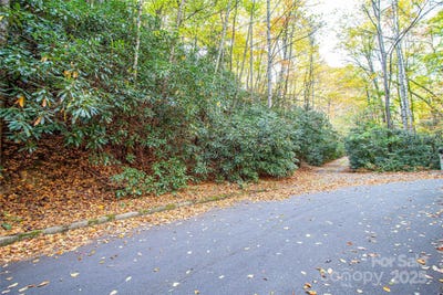 /international/us/stone-drive-brevard-nc-110103201001/