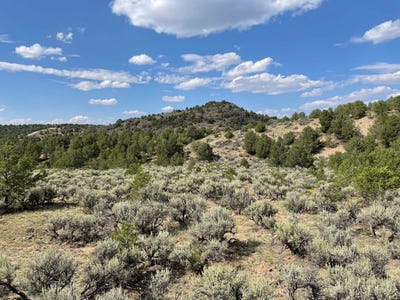 /international/us/tres-lomas-arroyo-hondo-nm-110103287806/