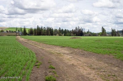 /international/us/nka-lambridge-ln-lot-4-medical-lake-wa-110101028035/