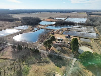 /international/us/6076-mertens-rd-devalls-bluff-ar-110104993512/