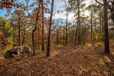 /international/us/lot-17-phase-1-timber-ridge-estates-tuskahoma-ok-110102296736/