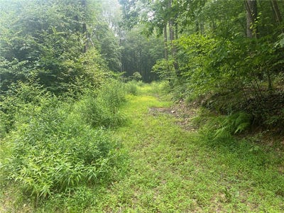 /international/us/camp-run-rd-lot-10-donegal-pa-110109419419/