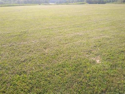 /international/us/0-victorian-drive-steeleville-il-110093421680/?lang=zh-tw