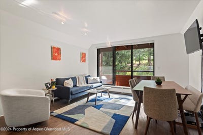 /international/us/1326-vine-street-aspen-co-110093797497/