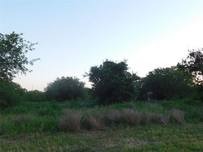 /international/us/1500-easterling-goliad-st-lot-pt-f-b-85-86-alice-tx-110108696349/