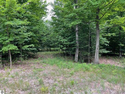 /international/us/11-w-timber-view-trail-empire-mi-110107615243/