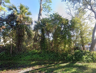 /international/us/2311-unity-tree-dr-edgewater-fl-110120136041/