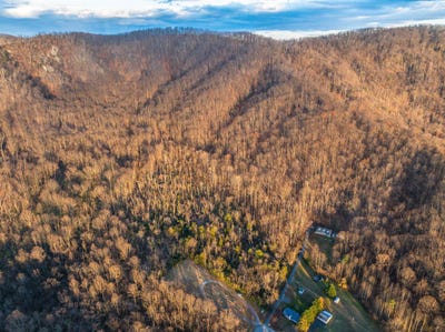 /international/us/ridge-st-lovingston-va-110103957438/