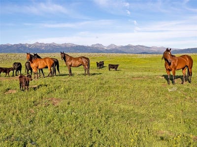 /international/us/elk-creek-road-wilsall-mt-110099822637/