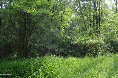 /international/us/9-cedar-road-selkirk-ny-110106469127/