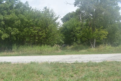 /international/us/1460-e-county-road-100n-arcola-il-110101168447/