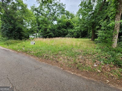 /international/us/williams-annex-washington-ga-110108627669/