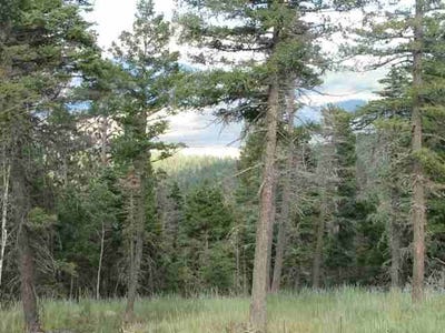 /international/us/lot-11-palo-flechado-ridge-road-angel-fire-nm-110042282954/