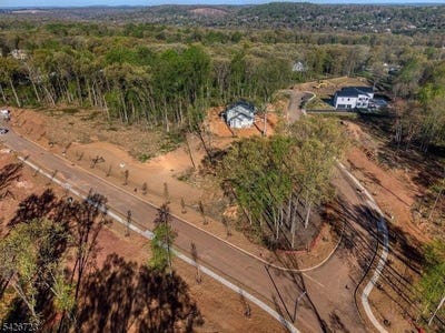 /international/us/1-juniper-pointe-trail-green-brook-township-nj-110107535316/