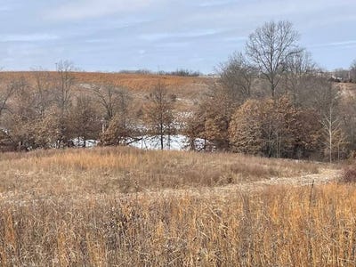 /international/us/0-autumn-rd-harris-mo-110105856520/
