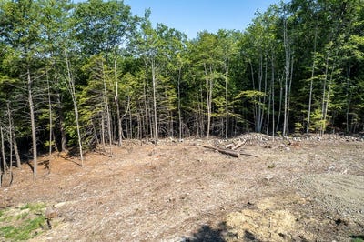 /international/us/lot-1-hemlock-estates-pittston-me-110101239323/?lang=zh-tw
