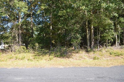 /international/us/00-mallett-road-manning-sc-110096628349/?lang=zh-tw
