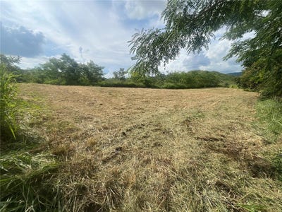 /international/us/km-hm-17-7-carr-150-coamo-pr-110103122950/